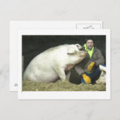 Carte Postale Winston le cochon (Devant / Derrière)