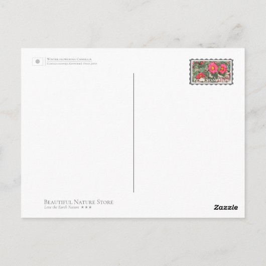 Carte Postale Winter flowering Camellia (Dos)