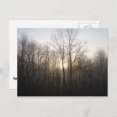 Carte Postale Winter Fog Sunrise Nature Photographie (Devant / Derrière)