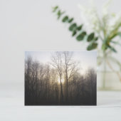 Carte Postale Winter Fog Sunrise Nature Photographie (Debout devant)