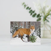 Carte postale "Winter Fox" (Debout devant)