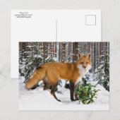 Carte postale "Winter Fox" (Devant / Derrière)