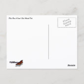 Carte Postale Winter Fox (Dos)