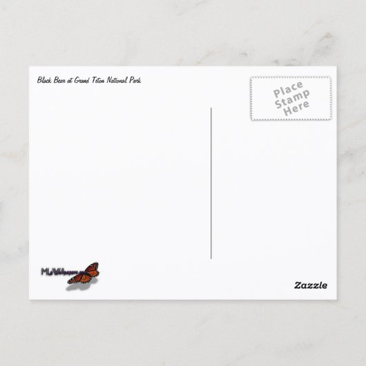 Carte Postale Winter Fox (Dos)