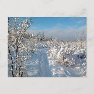 Carte Postale Winter Landscape - Postcard