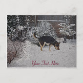 Carte Postale Winter snow scene with cute black and tan dog (Devant)