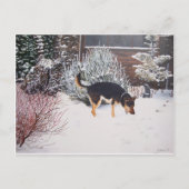 Carte Postale Winter snow scene with cute black and tan dog (Devant)