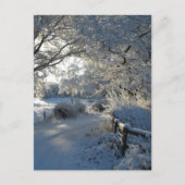 Carte Postale Winter Snowfall (Devant)