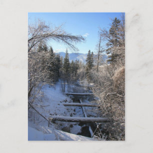 Carte Postale Winter Stream