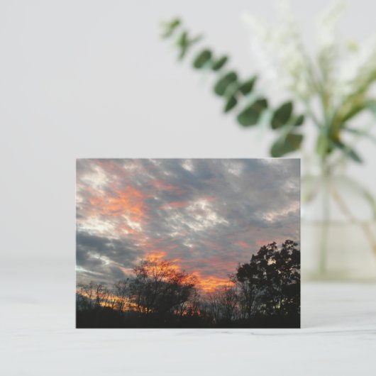 Carte Postale Winter Sunset Nature Paysage Photographie (Debout devant)