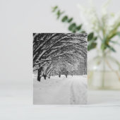 CARTE POSTALE WINTER WONDER (Debout devant)