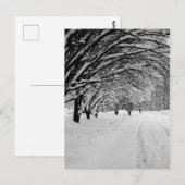 CARTE POSTALE WINTER WONDER (Devant / Derrière)