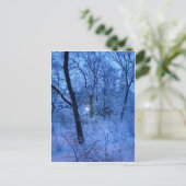 Carte Postale Winter Wonder Land (Debout devant)