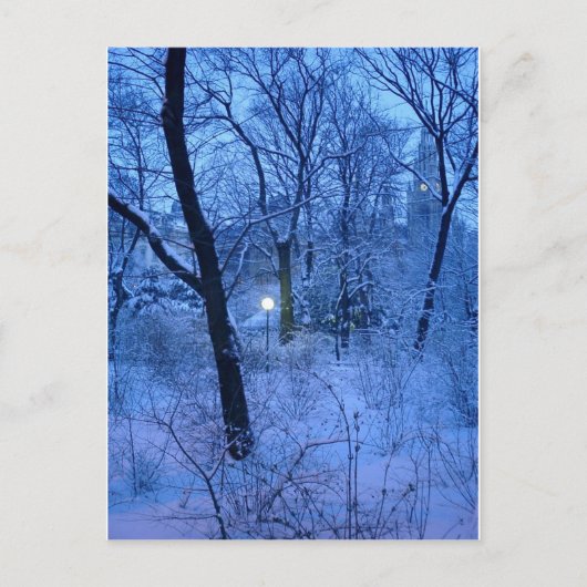 Carte Postale Winter Wonder Land (Devant)