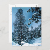 Carte Postale Winter Wonderland (Devant / Derrière)