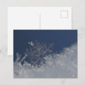 Carte postale Winter Wonderland (Devant / Derrière)