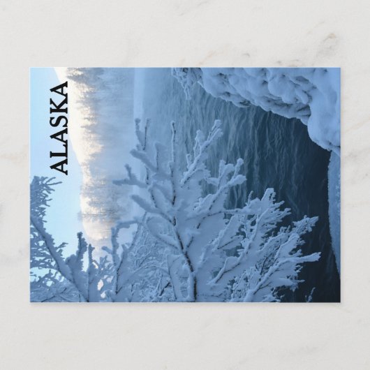 Carte Postale Winter Wonderland (Devant)