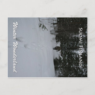 Carte Postale Winter Wonderland