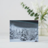 Carte postale Winter Wonderland (Debout devant)