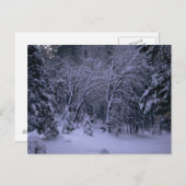 Carte postale Winter Wonderland (Devant / Derrière)