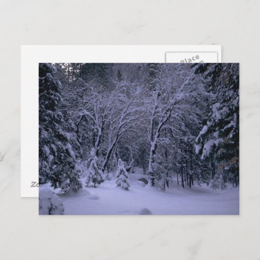 Carte postale Winter Wonderland (Devant / Derrière)