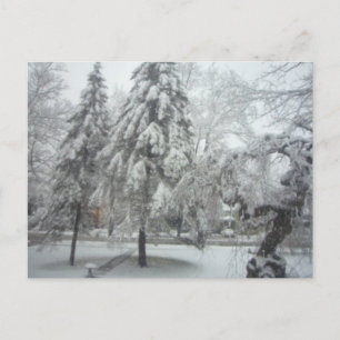 Carte Postale Winter Wonderland