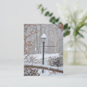 Carte Postale Winter Wonderland - Lampe Post (Debout devant)