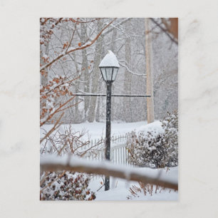Carte Postale Winter Wonderland - Lampe Post