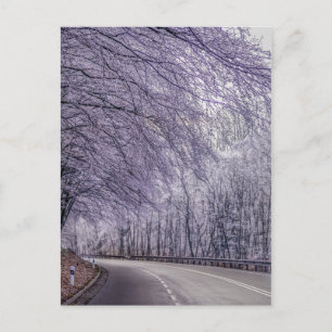 Carte Postale Winter Wonderland Travel Photo