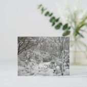 Carte Postale Winter Wonderland Woods in the Snow Photo (Debout devant)