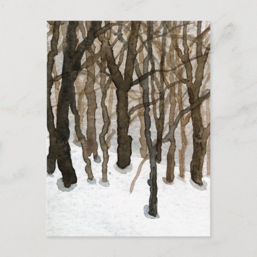Carte postale "Winter Woods" (Devant)