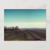 Carte postale "Wintercold" (Devant)