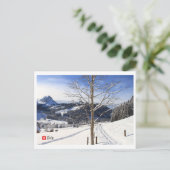 Carte Postale Winterland d'hiver - Suisse (Debout devant)