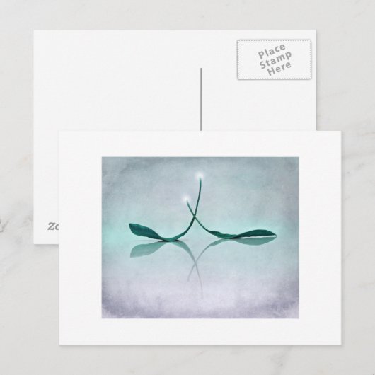 Carte Postale Winterlicht (Devant / Derrière)