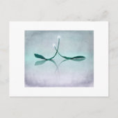 Carte Postale Winterlicht (Devant)