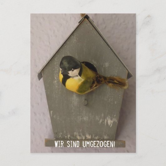 Carte Postale Wir sind umgezogen! - Postkarte (Vogelhaus) (Devant)