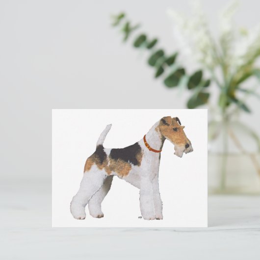 Carte Postale Wire Fox Terrier (Debout devant)