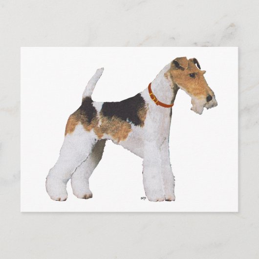 Carte Postale Wire Fox Terrier (Devant)