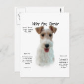 Carte Postale Wire Fox Terrier Histoire; à propos de fil fox ter (Devant / Derrière)