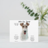 Carte Postale Wire Fox Terrier Histoire; à propos de fil fox ter (Debout devant)