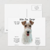 Carte Postale Wire Fox Terrier Histoire; à propos de fil fox ter (Devant / Derrière)