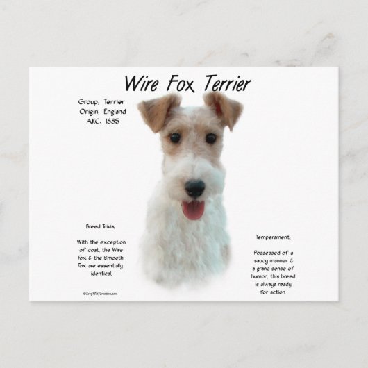 Carte Postale Wire Fox Terrier Histoire; à propos de fil fox ter (Devant)
