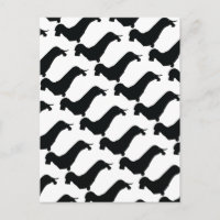 Carte Postale Wire Hair Dachshund