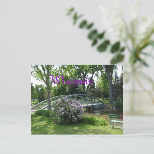 Carte Postale Wisconsin (Debout devant)