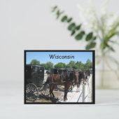 Carte Postale Wisconsin Amish (Debout devant)