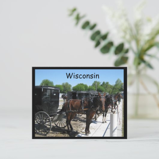 Carte Postale Wisconsin Amish (Debout devant)