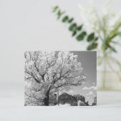 Carte Postale Wisconsin Farm Postcard (Debout devant)