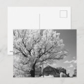 Carte Postale Wisconsin Farm Postcard (Devant / Derrière)