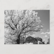 Wisconsin Farm Postcard