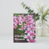 Carte Postale Wisconsin Lillies (Debout devant)